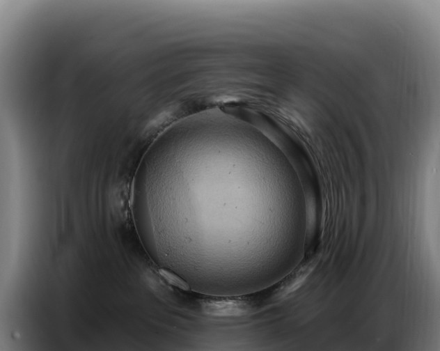 X0000086750237200704201731