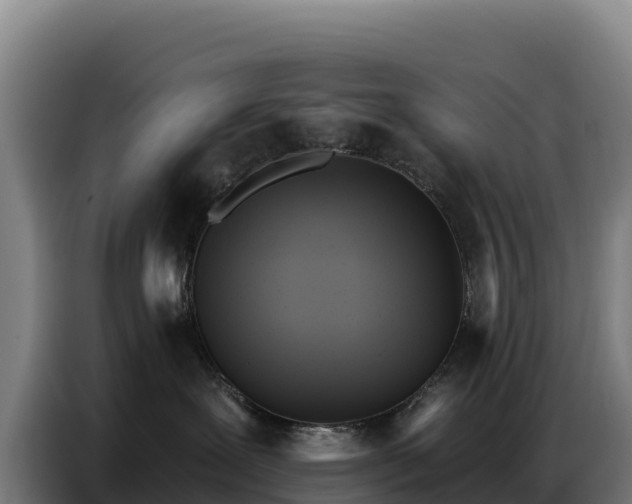 X0000086750239200704201731