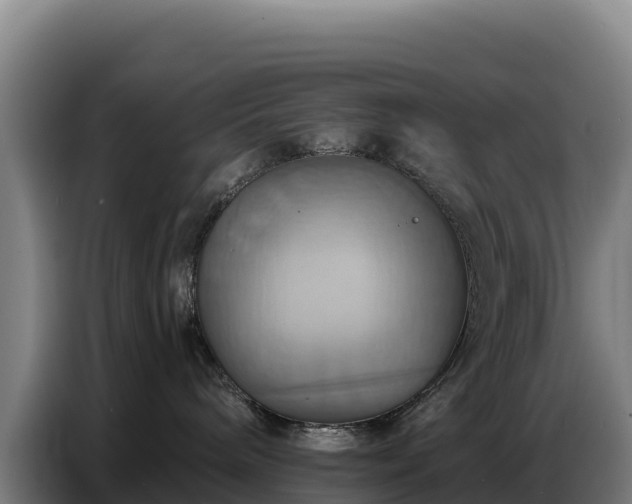 X0000086750240200704201731