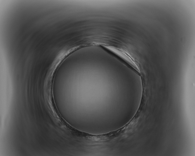 X0000086750241200704201730