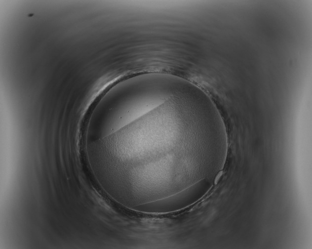 X0000086750242200704201731