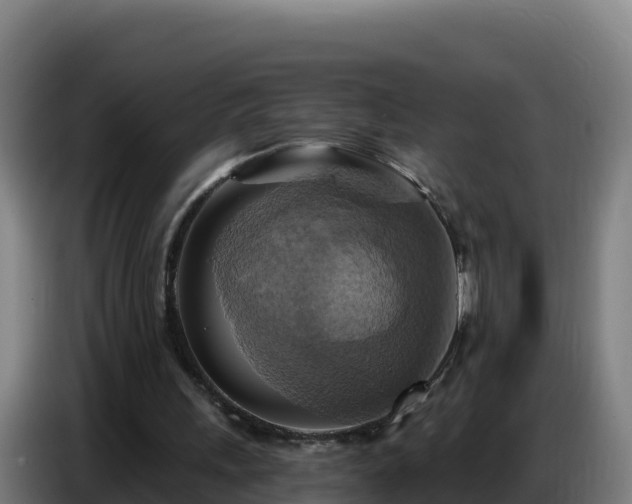 X0000086750243200704201731