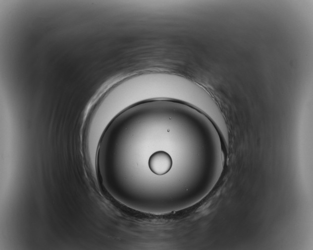 X0000086750244200704201731