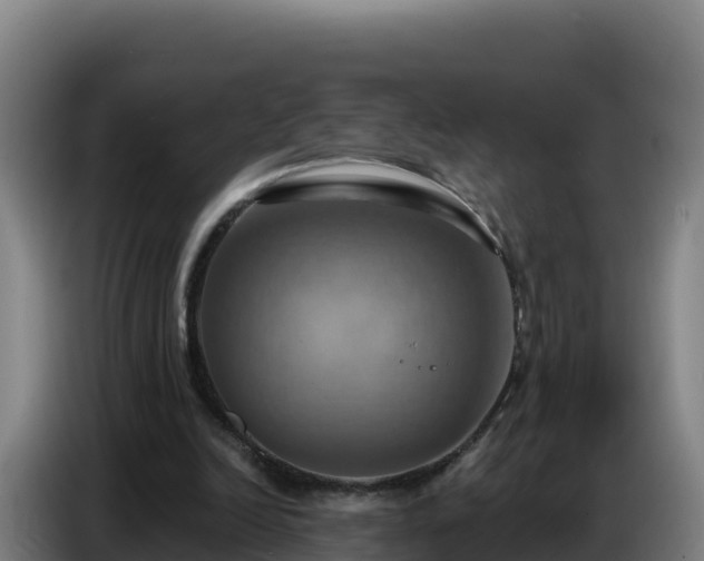 X0000086750246200704201731