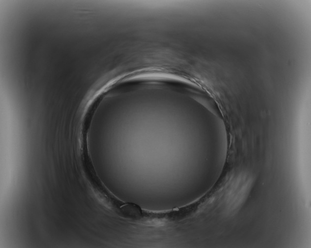 X0000086750247200704201731