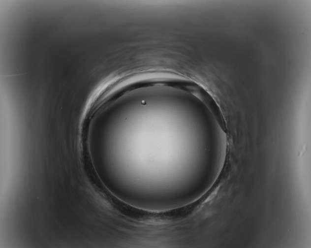 X0000086750248200704201731