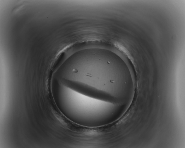 X0000086750249200704201731