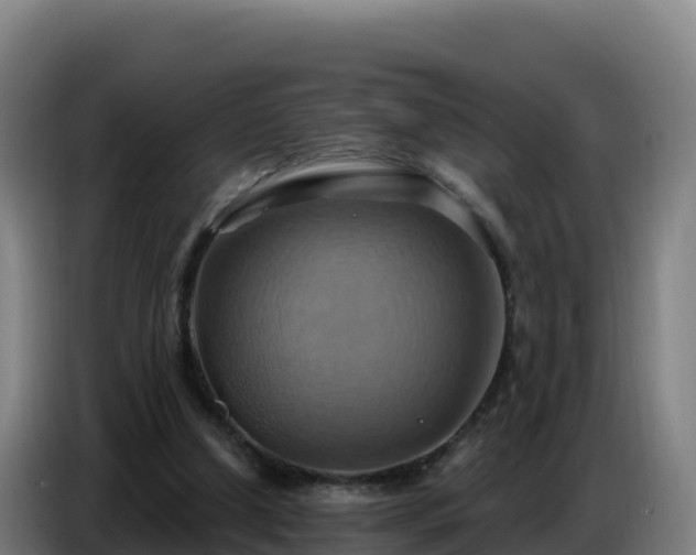 X0000086750250200704201731