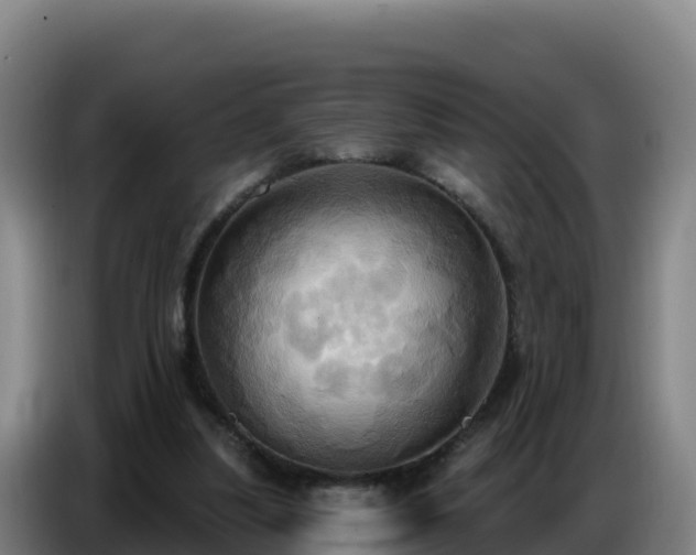 X0000086750251200704201731