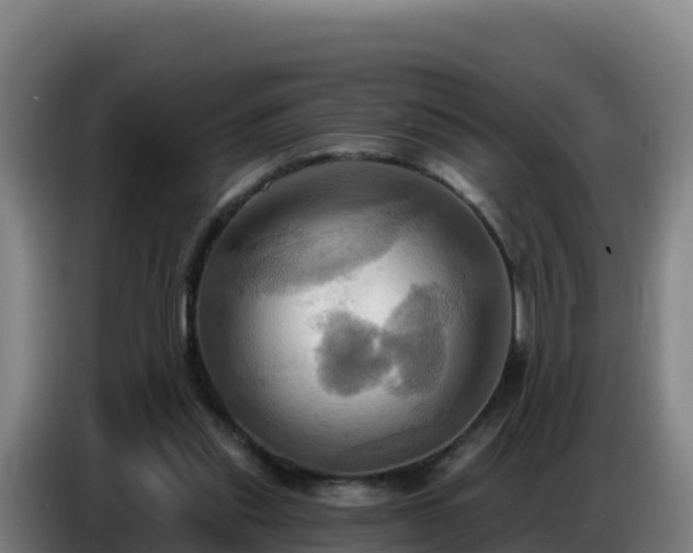 X0000086750253200704201731