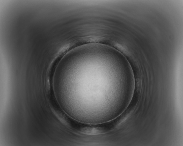 X0000086750254200704201731