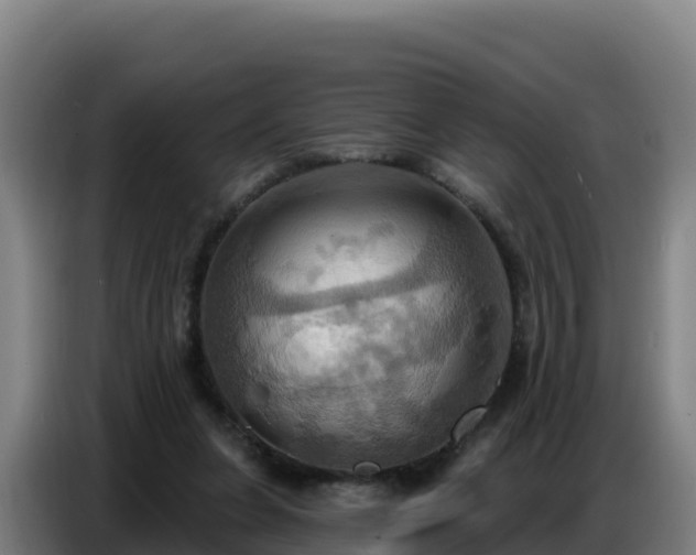 X0000086750255200704201731