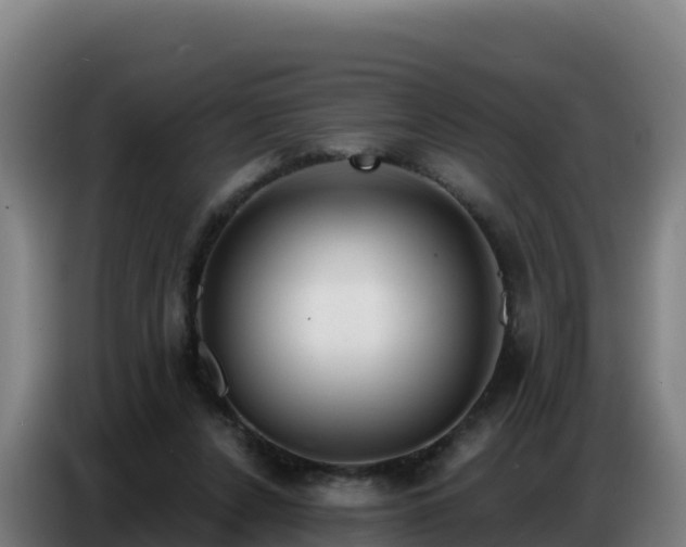 X0000086750256200704201731