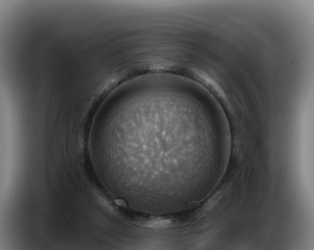 X0000086750257200704201731