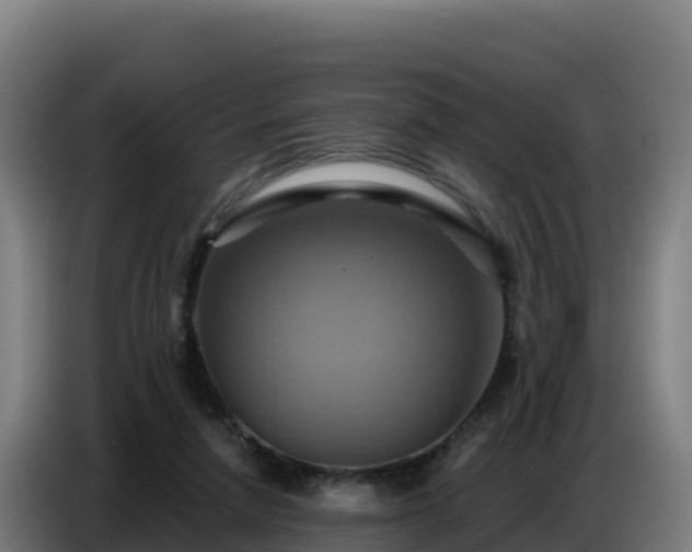 X0000086750258200704201731