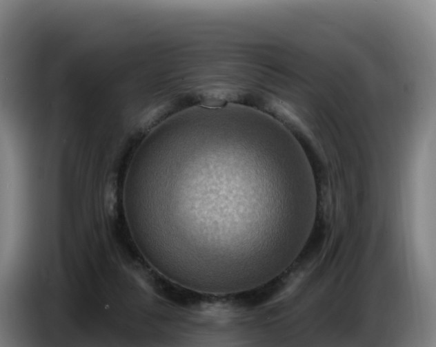 X0000086750259200704201731