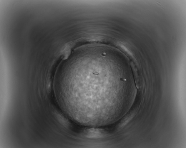 X0000086750261200704201731