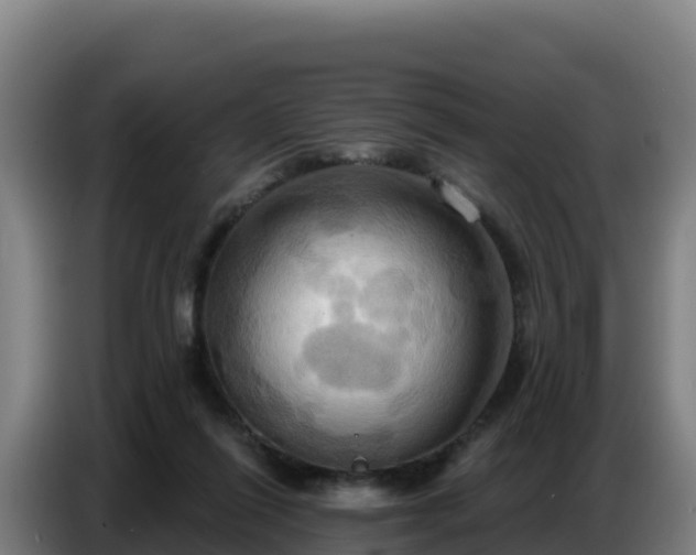 X0000086750262200704201731