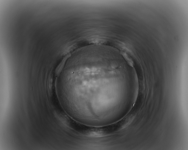 X0000086750263200704201731