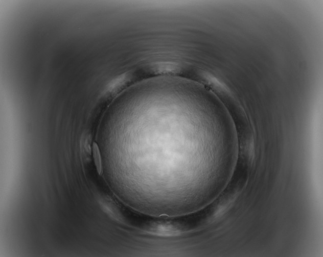 X0000086750264200704201731