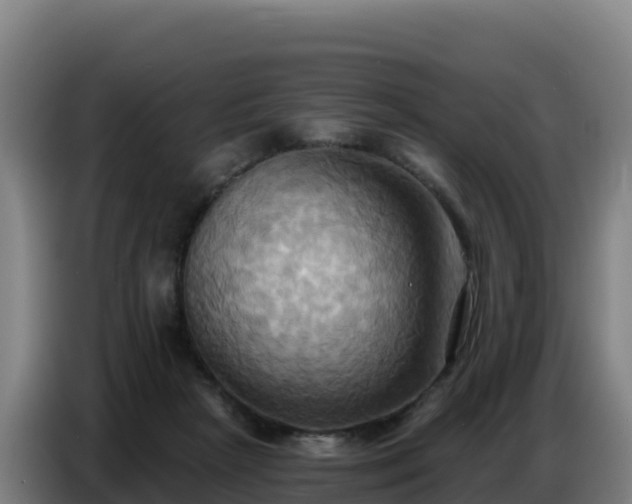 X0000086750265200704201731