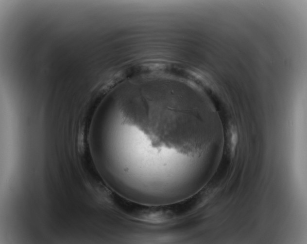 X0000086750267200704201731