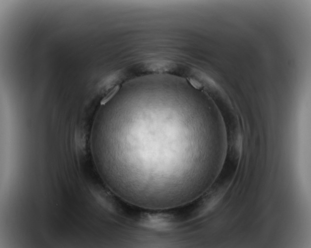 X0000086750268200704201731