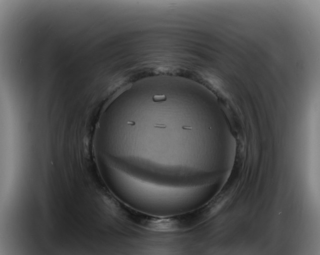 X0000086750269200704201731