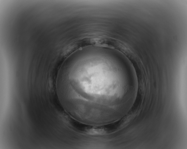 X0000086750270200704201731