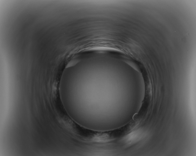 X0000086750271200704201731