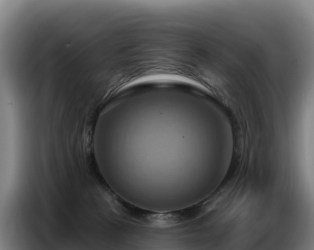 X0000086750273200704201731