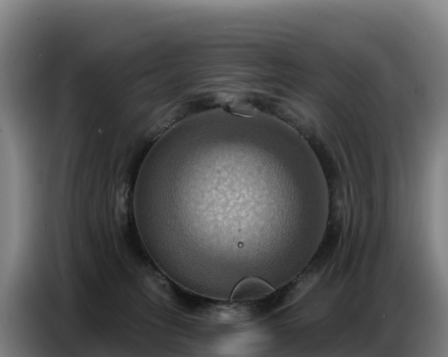 X0000086750275200704201731