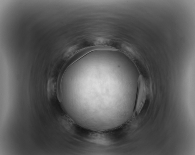 X0000086750276200704201731