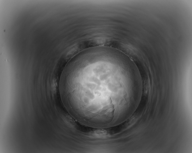 X0000086750279200704201731