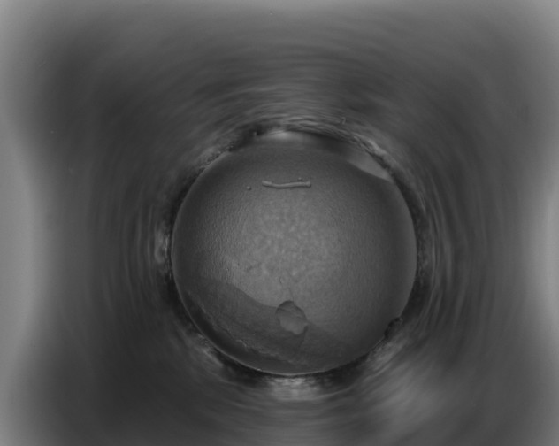 X0000086750281200704201731