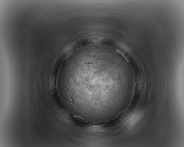 X0000086750283200704201731