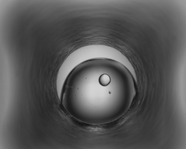 X0000086750284200704201731