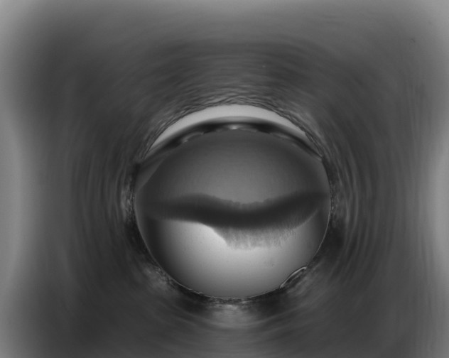 X0000086750285200704201731