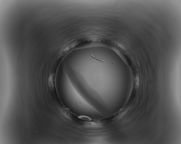 X0000086750286200704201731