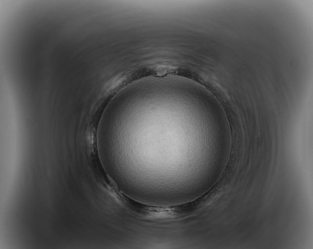 X0000086750288200704201731