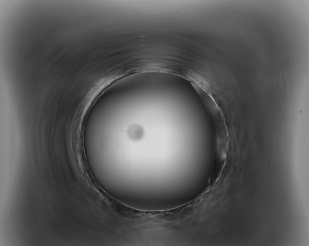 X0000086750289200704201730