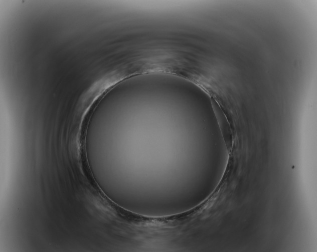 X0000086750290200704201730