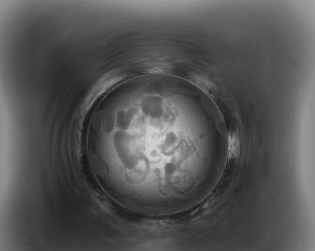 X0000086750291200704201730