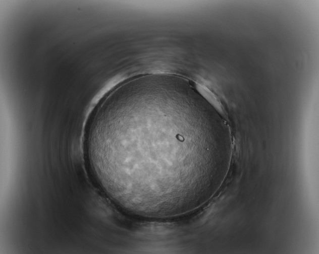 X0000086750292200704201730