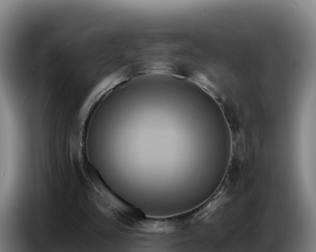 X0000086750293200704201730