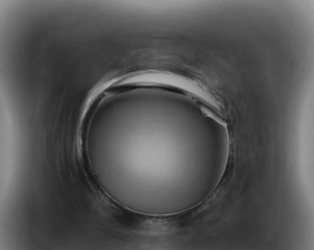 X0000086750294200704201730