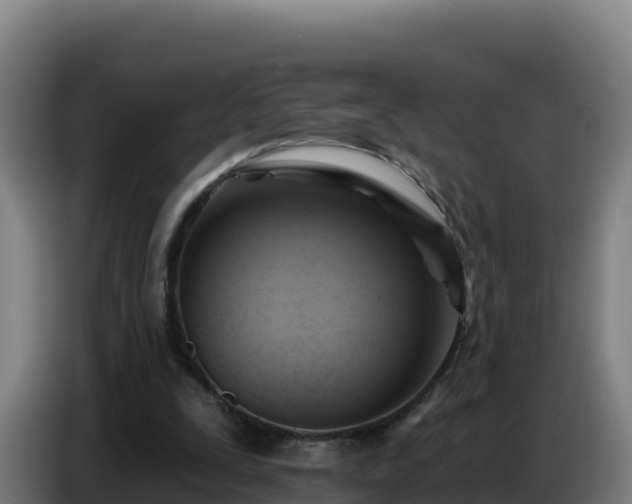 X0000086750295200704201730