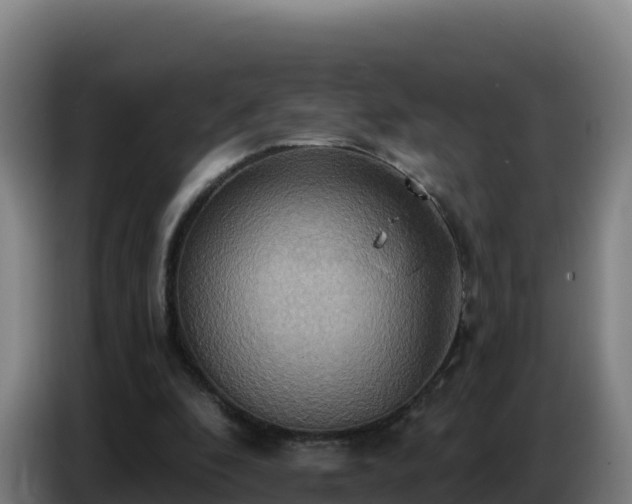 X0000086750296200704201730