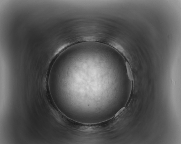 X0000086750297200704201730