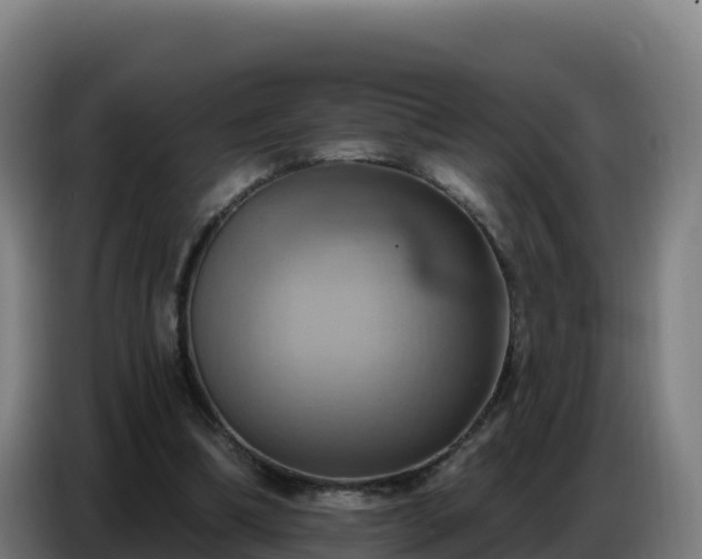 X0000086750298200704201730